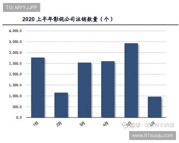 成都与北京羽毛球队赛后分析意识碰撞与战术较量的深度探讨